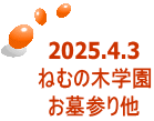 2025.4.3 ˂ނ̖؊w Q葼