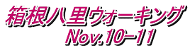 箱根八里ウォーキング 　　     Nov.10-11