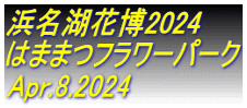 浜名湖花博2024 はままつフラワーパーク Apr.8.2024